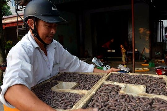 Đào giun biển, thu tiền triệu mỗi ngày