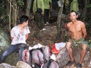 Trạm trưởng kiểm lâm bị thợ săn đâm thủng bụng