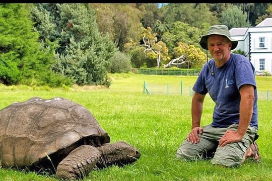 Những sinh vật 'sống dai' nhất Trái đất