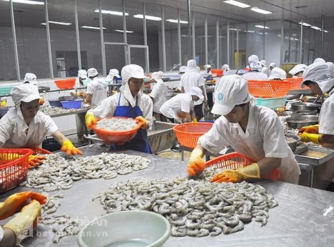 Sản phẩm tôm cá Nghệ An chưa vào được thị trường khó tính