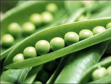 Chế độ ăn uống hoàn hảo bạn nên biết