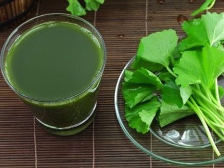 Lạm dụng rau má sẽ là 'con dao hai lưỡi' đối với sức khỏe