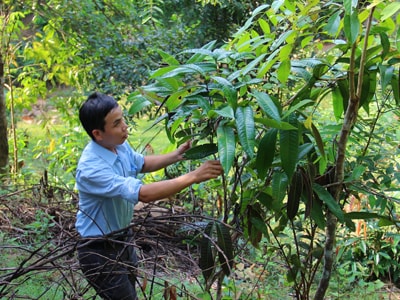 Khai mở kho báu miền Tây Nghệ An