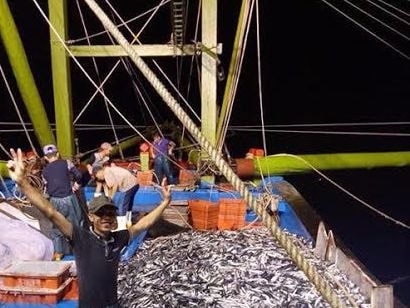 Ngư dân Nghệ An trúng đậm cá tại ngư trường Hoàng Sa