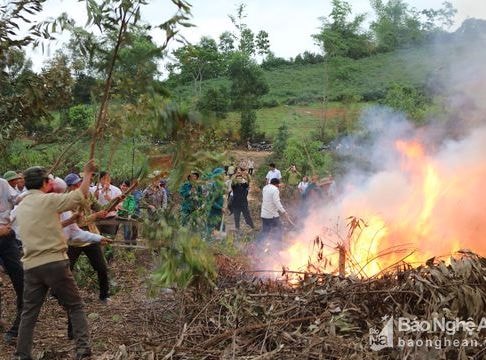 Anh Sơn: Hơn 100 người tham gia diễn tập phòng chống cháy rừng