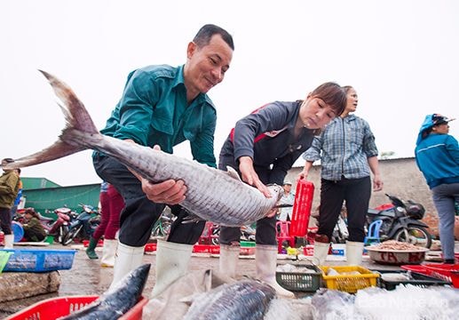 10 trải nghiệm 'cực chất' khi tới Cửa Lò