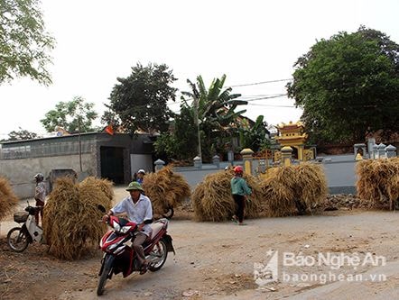 Lạ lùng phiên chợ bán thứ 'độc nhất vô nhị'
