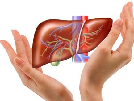 Nóng bức – làm gì để giải nhiệt cho gan?