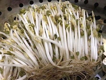 Cách nhận biết 5 loại rau hay bị phun hóa chất