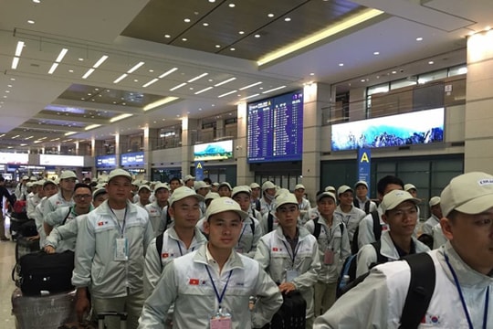 Nghi Lộc có gần 360 người cư trú bất hợp pháp tại Hàn Quốc