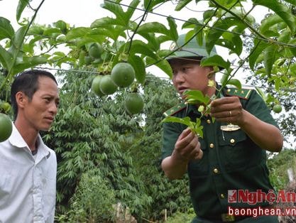 Nói bảo thủ, trông chờ, ỷ lại chung chung thì khó đề ra giải pháp hữu hiệu