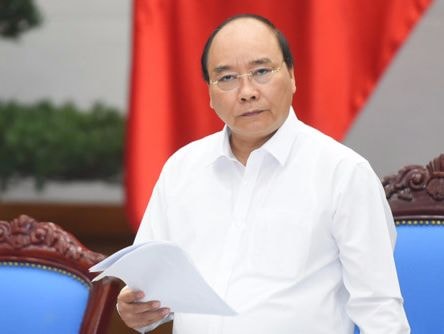 Thủ tướng chỉ đạo tìm giải pháp khắc phục giá thịt lợn hơi xuống thấp