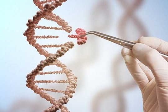 Tìm ra phương pháp tiêu diệt virus HIV