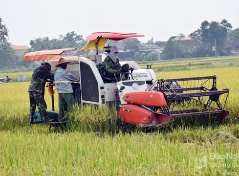 Yên Thành: Không để xảy ra tình trạng 'bảo kê', 'cò' máy gặt