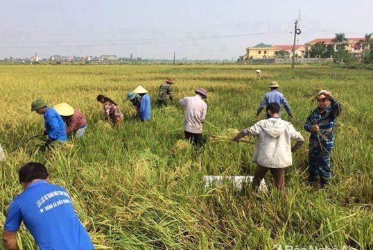 Mô hình tình nguyện sáng tạo của thanh niên nông thôn