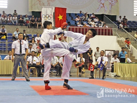 Gần 200 vận động viên tranh tài tại Giải vô địch Karatedo