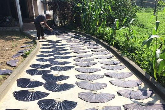 Làng nghề quạt giấy thủ công hàng trăm năm ở Nghệ An