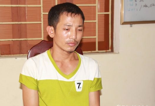 Giả vờ khách mua trâu bò để trộm tài sản