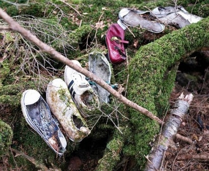 Người phụ nữ ám ảnh khách Tây trong rừng tự sát tại Nhật Bản