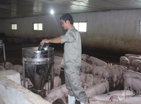 Nông nghiệp còn ít lưu tâm đến thị trường tiêu thụ