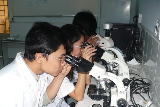 Cách học để đạt điểm tối đa phần quy luật di truyền