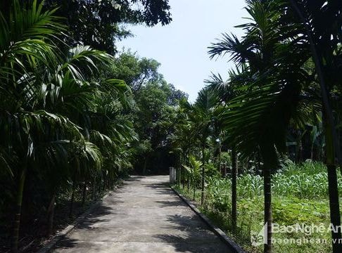 Cự Thôn - vẻ đẹp làng Việt