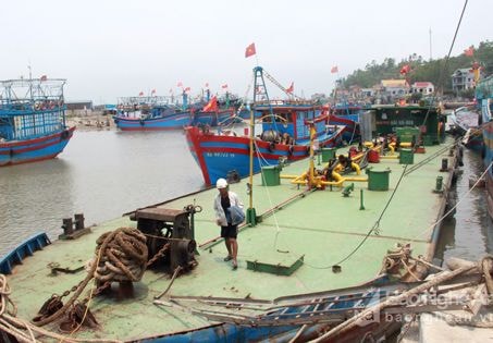 Công ty CP-TMDV vận tải Ngọc Mai đáp ứng nhiên liệu cho tàu cá