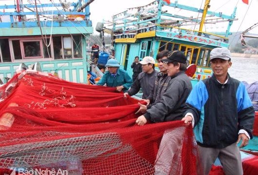 Tàu cá trên 400 CV ở Nghệ An 'đánh đâu trúng đó'