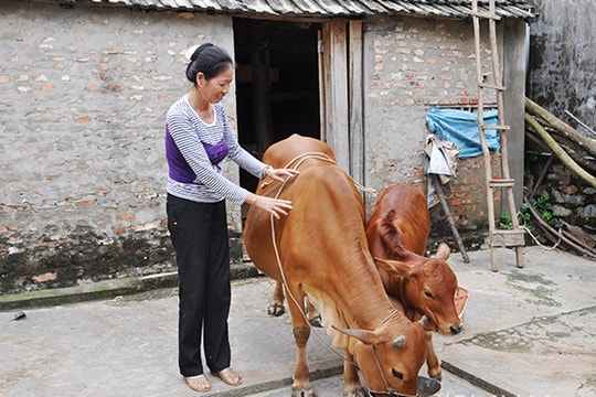 Ưu tiên nguồn vốn ưu đãi cho hộ nghèo