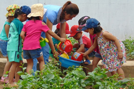 Lợi ích kép khi trồng rau an toàn trong trường học