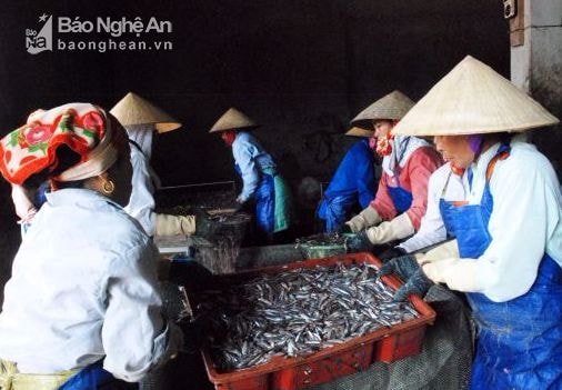 Động lực từ phát triển kinh tế tư nhân