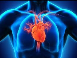 Thủ phạm gây nhồi máu cơ tim