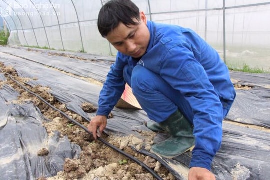 Nam Đàn và áp lực về đích NTM