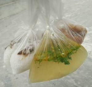 Bệnh 'rình rập' nếu dùng túi nylon chứa thức ăn nóng