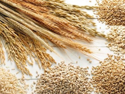 Chỉ dùng sữa hạt có thể khiến trẻ bị còi xương