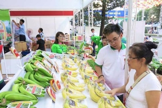 Công bố 13 doanh nghiệp nhập khẩu trái cây có dấu hiệu lừa đảo