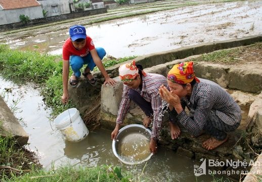 Ngôi làng có trăm hộ dân phải dùng nước mương
