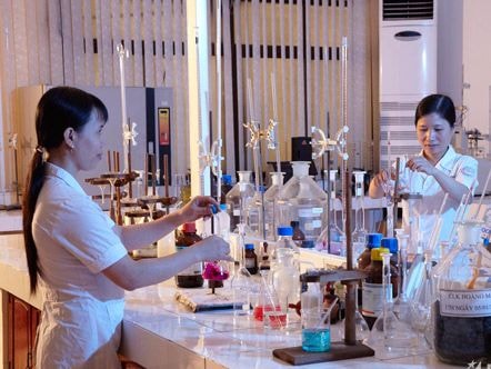 Công bố hợp nhất thương hiệu xi măng VICEM tại Nghệ An