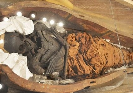 Xác ướp Ai Cập 3.000 năm vùi trong hầm cùng cá sấu 1,6 mét