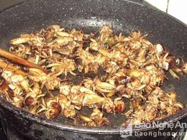 'Đón lõng' dế đêm làm mồi nhậu