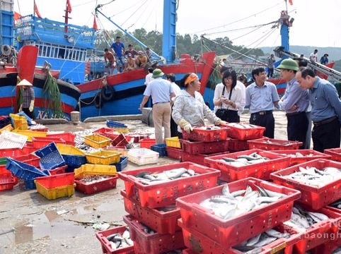 Thu nhập của người dân ven biển Nghệ An gấp 1,28 lần bình quân toàn tỉnh