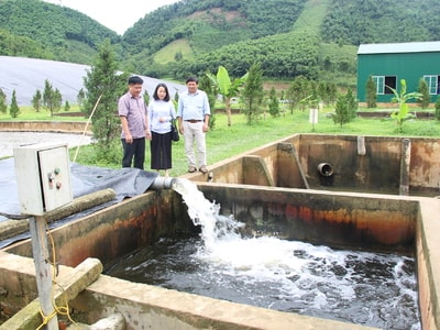 Nhiều DN hoạt động nhưng chưa hoàn thành công trình bảo vệ môi trường