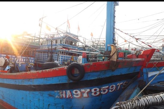 Tàu cá chết máy, 18 ngư dân lênh đênh 2 ngày trên biển