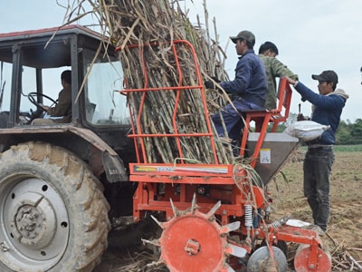 Công ty CP mía đường Sông Lam đồng hành trong công tác an sinh xã hội