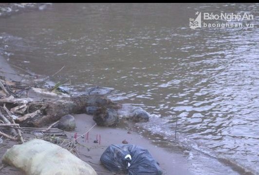 Thi thể bé 3 tháng tuổi trôi dạt bờ sông