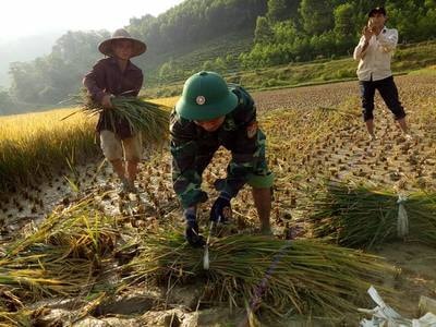 Cán bộ, chiến sỹ các đơn vị biên phòng tích cực giúp dân