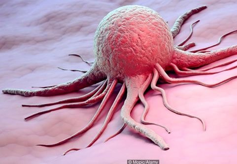 Việt Nam điều chế thuốc hỗ trợ điều trị ung thư từ thảo dược