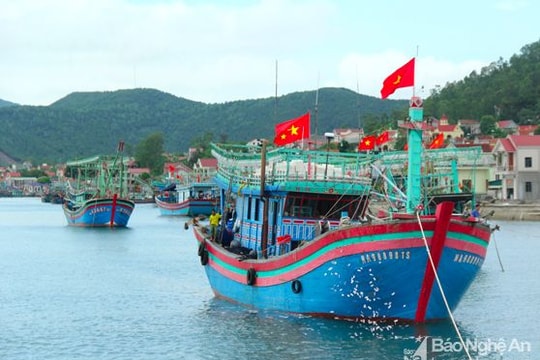 Một ngày ở cảng cá Lạch Cờn