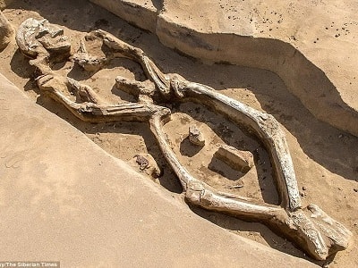 Bộ xương xoắn vặn 1.300 năm tuổi khiến giới khảo cổ bối rối