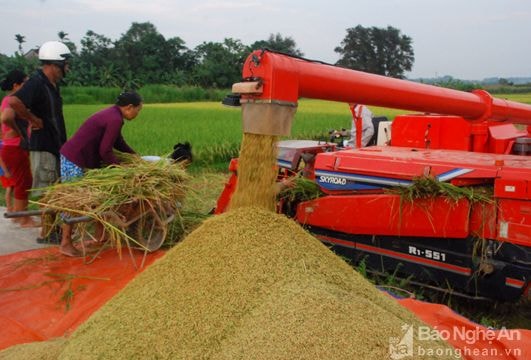 Dàn máy khủng trên đồng ruộng xứ Nghệ